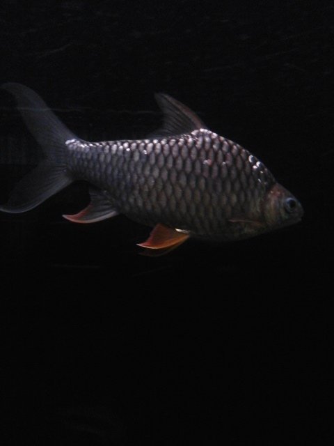 20190508_165024.jpg