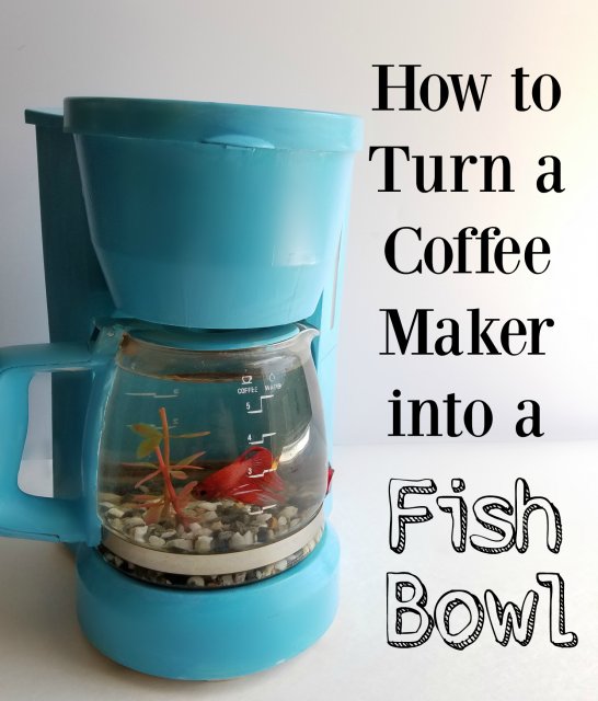 coffee-maker-into-fish-bowl.jpg