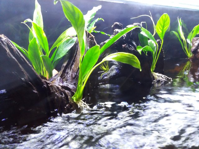 20190510_150010.jpg