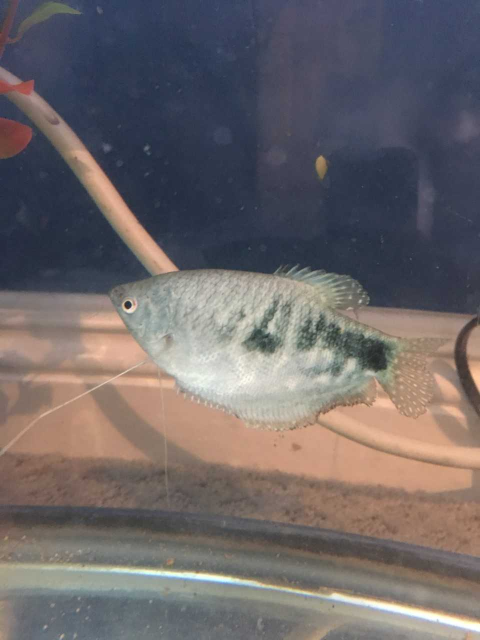 1557647749983.png 1557647749983.png