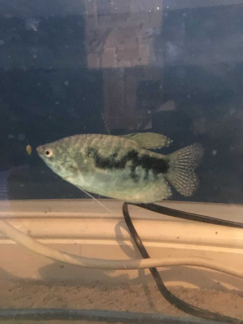 1557647788482.png 1557647788482.png