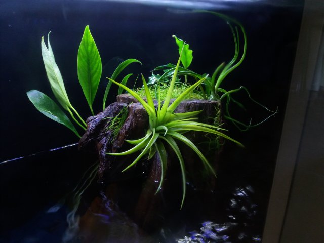 20190512_160647.jpg
