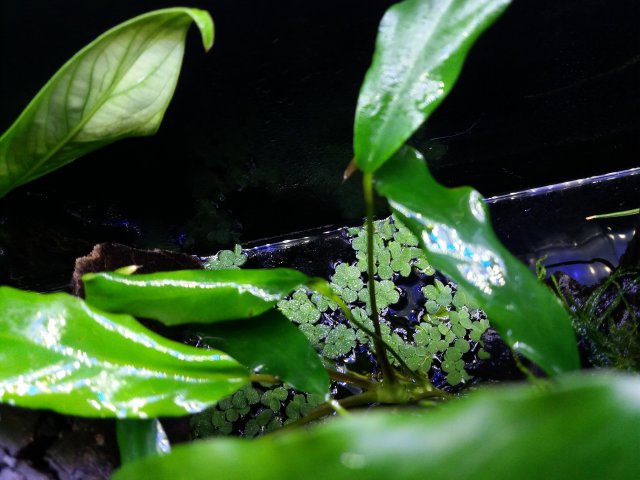 20190512_160137.jpg