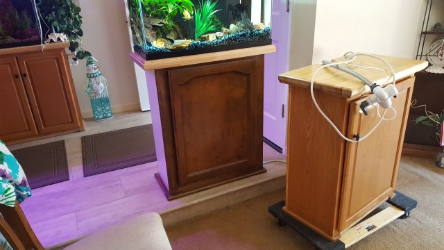 20190512_122254.jpg