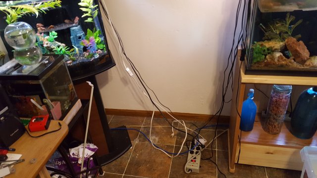 20190512_153410.jpg