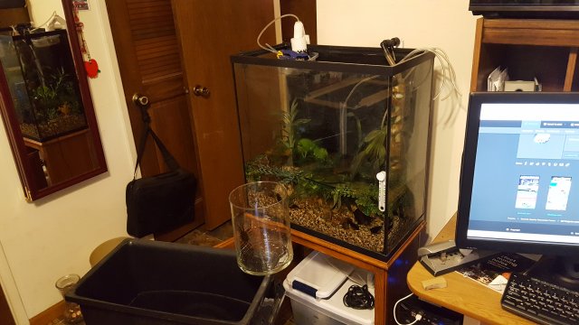 20190512_153416.jpg
