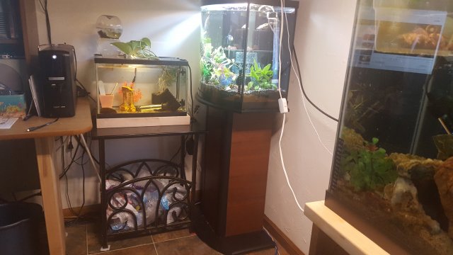 20190512_184227.jpg
