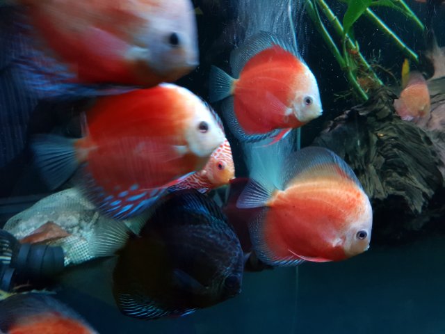 20190429_192404.jpg