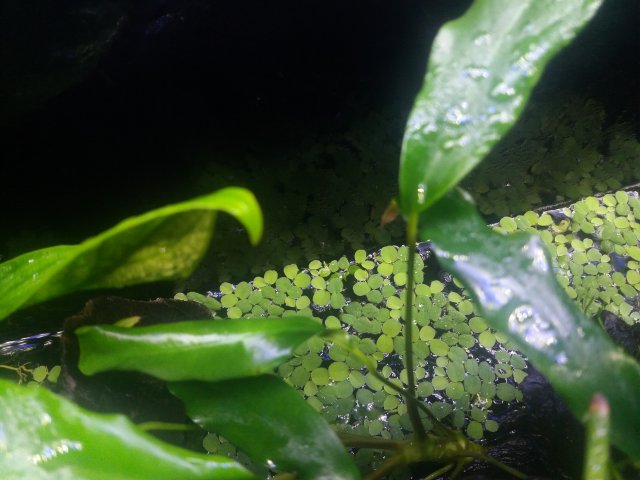 20190515_203246.jpg