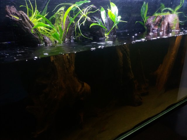 20190516_193643.jpg