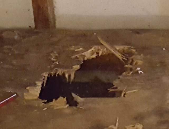 20190515_124849.jpg