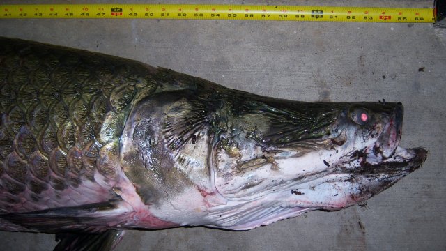 100_8450.JPG 100_8450.JPG