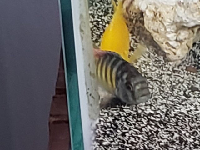 20190407_195400.jpg 20190407_195400.jpg