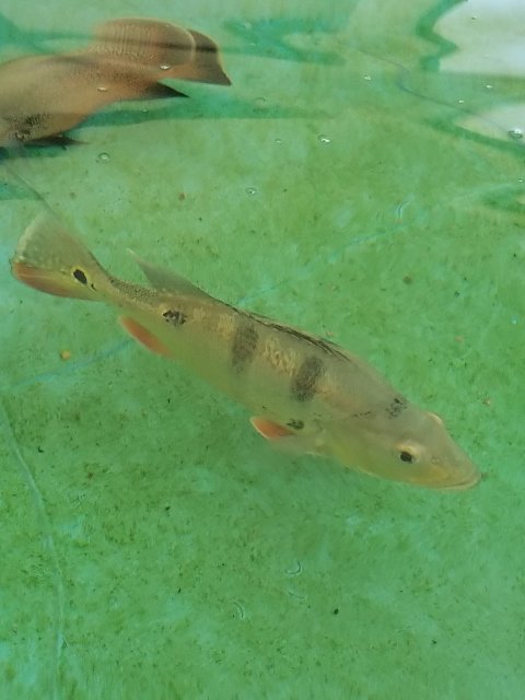 20190519_123644.jpg