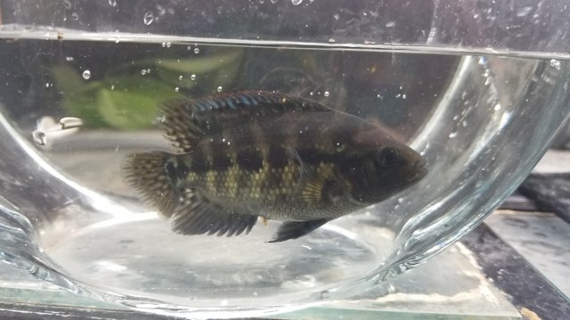 20190518_093837.jpg
