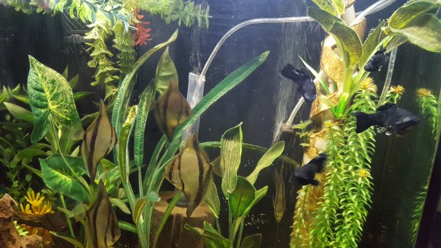 20190520_080103.jpg 20190520_080103.jpg