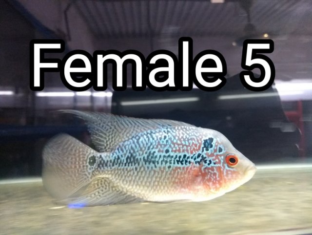 IMG_20190521_052044.jpg IMG_20190521_052044.jpg