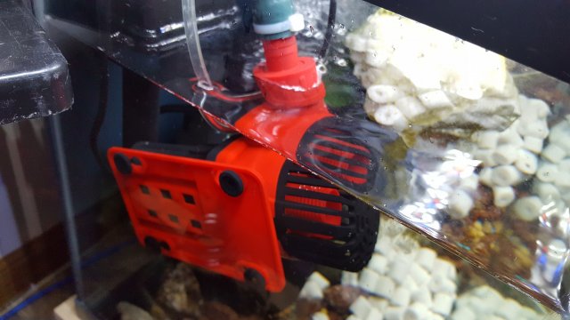 20190521_181024.jpg