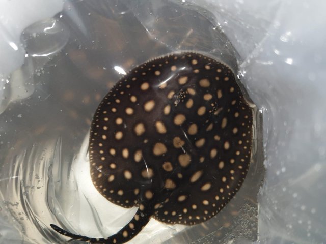 60933101_467534950680853_857720293454512128_n.jpg 60933101_467534950680853_857720293454512128_n.jpg