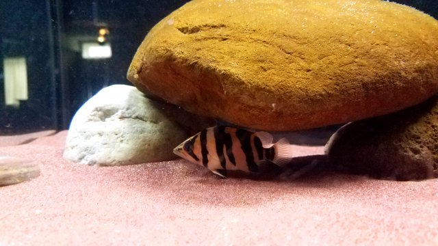 20190523_101044.jpg