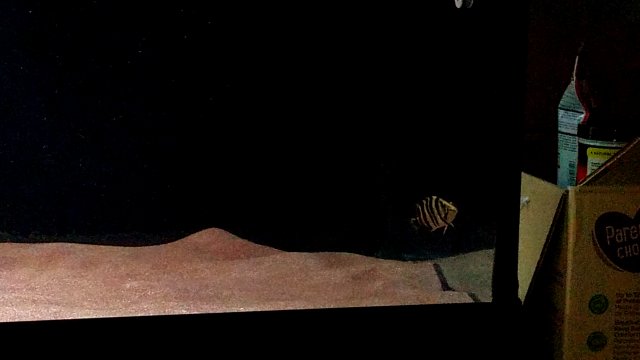 20190523_100928.jpg