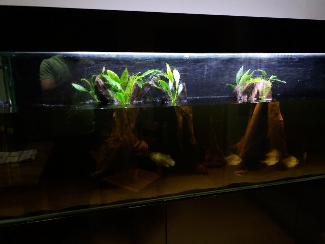 20190525_230947.jpg