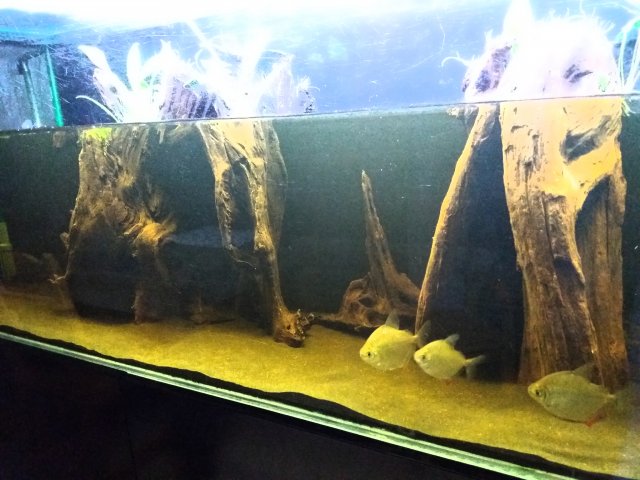 20190525_232538.jpg
