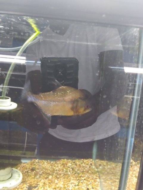20190524_121651.jpg