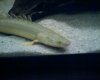 092807_18043.jpg 092807_18043.jpg