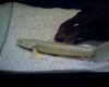 092807_18042.jpg 092807_18042.jpg