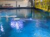 Whale Shark crossing over.JPG