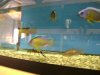 DSC00645.JPG