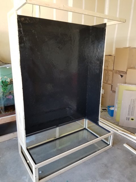 20190425_183924.jpg