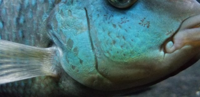 20190601_221937.jpg