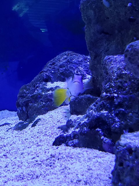 20190604_150102.jpg 20190604_150102.jpg