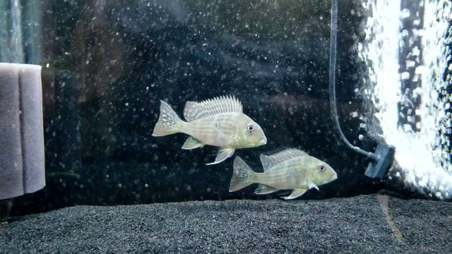 VideoCapture_20190605-224701.jpg