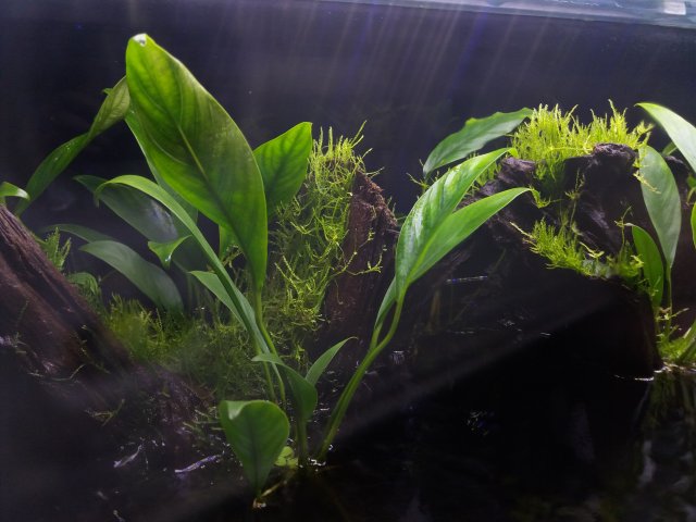 20190607_231859.jpg