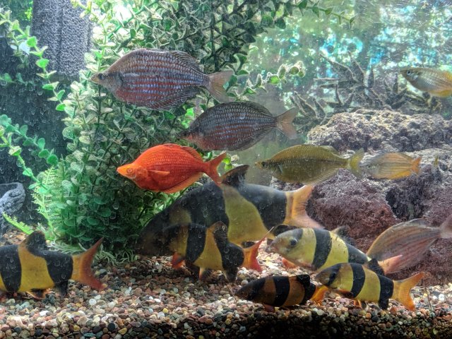 MVIMG_20190510_191443.jpg MVIMG_20190510_191443.jpg