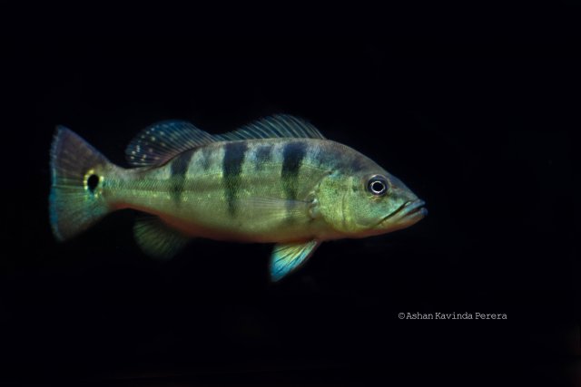 IMG_9493.jpg IMG_9493.jpg