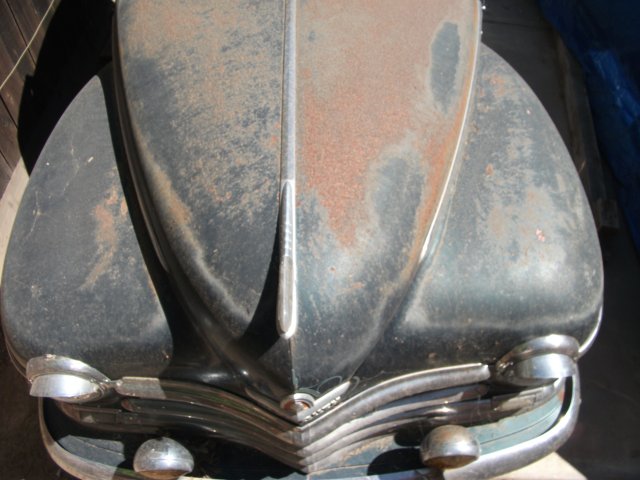 DSCF5122.jpg DSCF5122.jpg