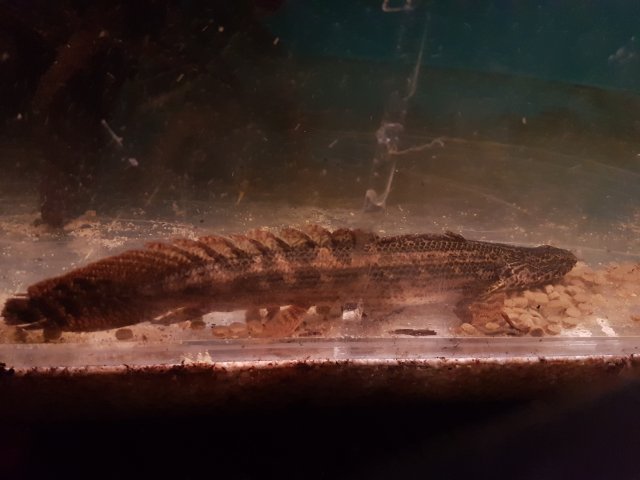 20190612_231311.jpg