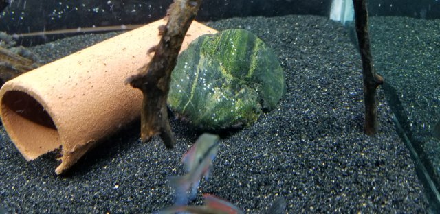 15604838794283624809136215550828.jpg 15604838794283624809136215550828.jpg