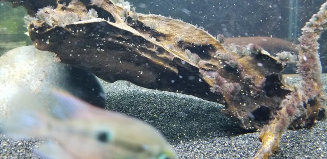 15604839347188361478295884813804.jpg 15604839347188361478295884813804.jpg