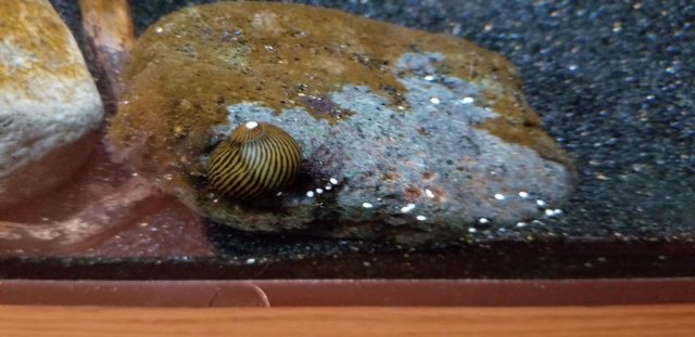 20190508_143001.jpg 20190508_143001.jpg