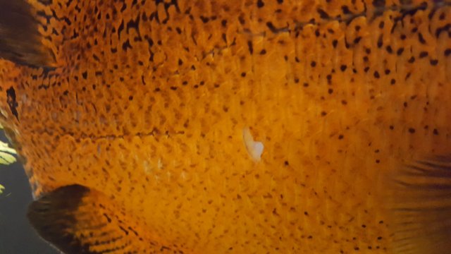 20190613_232316.jpg