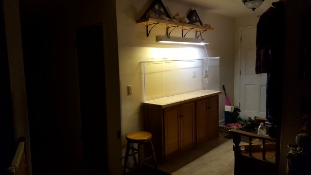 20190613_232223.jpg