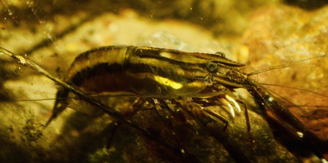 fullsizeoutput_102c.jpeg fullsizeoutput_102c.jpeg