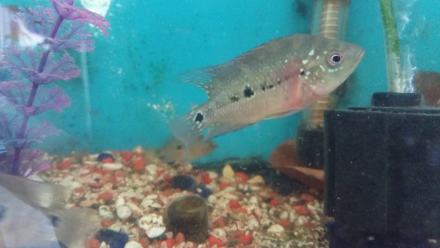 20190616_115210.jpg