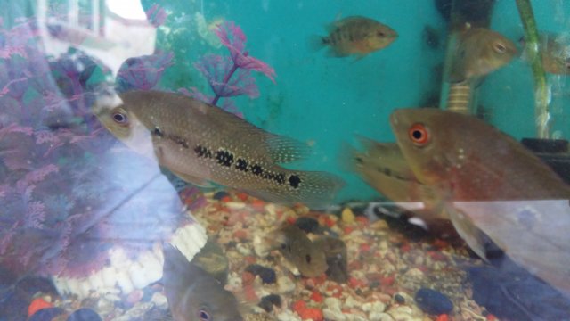 20190616_115109.jpg