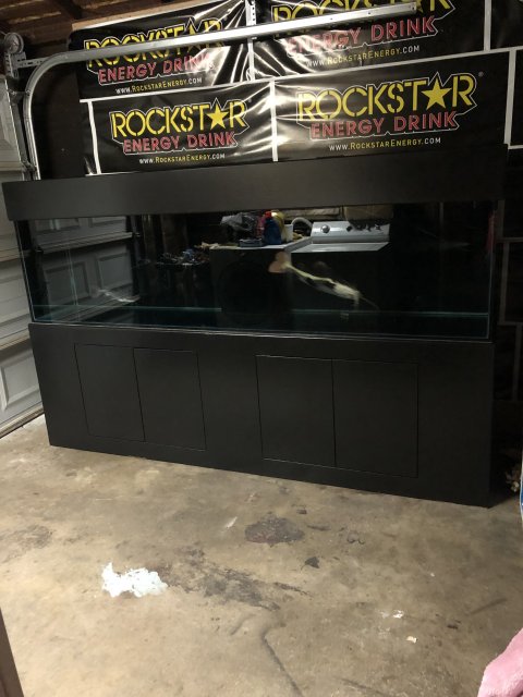 393B82B4-B508-4DA9-A688-02E0300FE8E2.jpeg 393B82B4-B508-4DA9-A688-02E0300FE8E2.jpeg